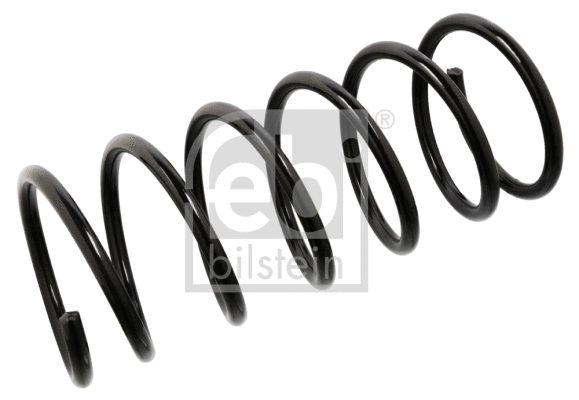 Suspension Spring (104696)