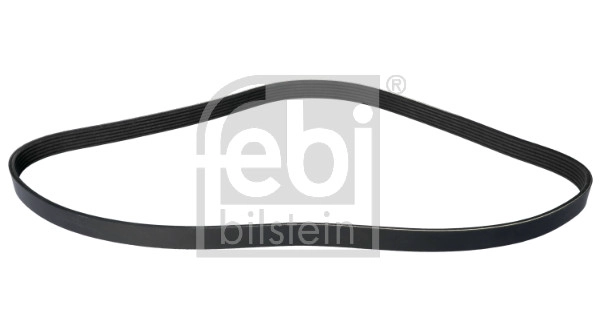 V-Ribbed Belt (182095)