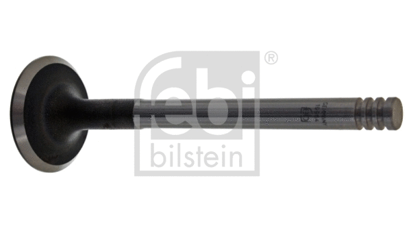 Intake Valve (19964)