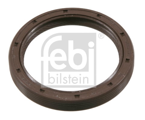 Shaft Seal, camshaft (18170)