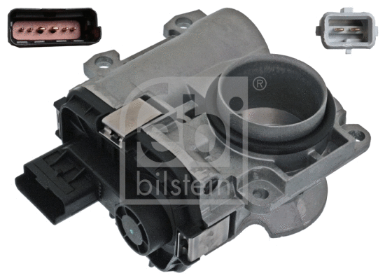 Throttle Body (100207)