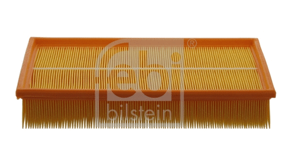 Air Filter (31160)