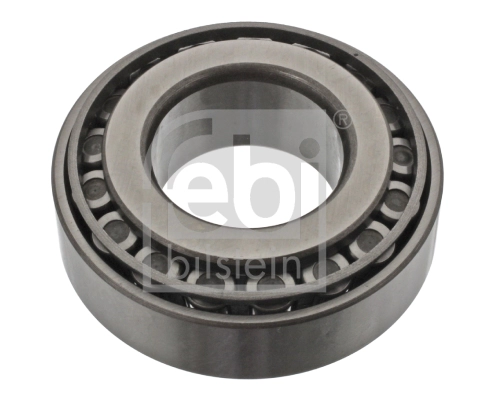 Wheel Bearing (06200)