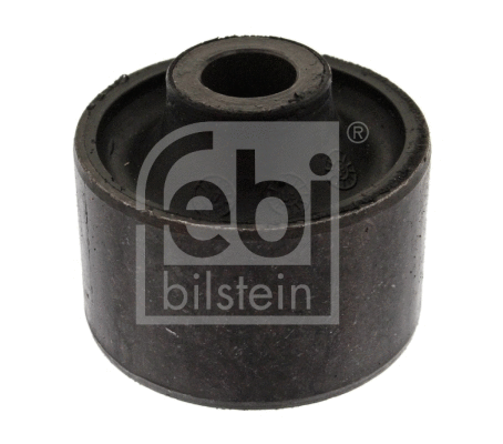 Mounting, control/trailing arm (01311)