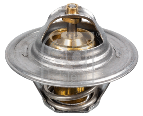 Thermostat, coolant (17910)