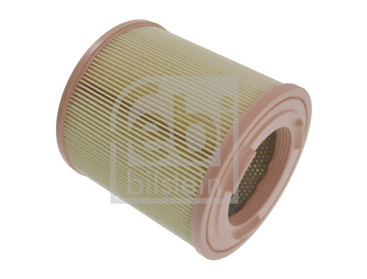 Air Filter (183999)