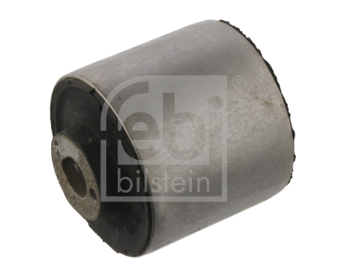 Mounting, control/trailing arm (34732)