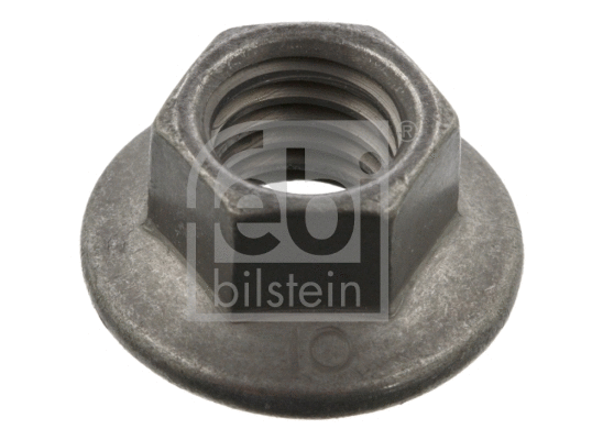 Nut (37250)