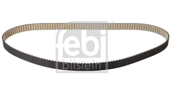 Timing Belt (177421)