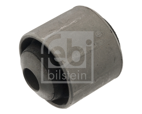 Mounting, control/trailing arm (103401)