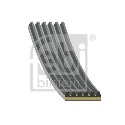 V-Ribbed Belt (181338)