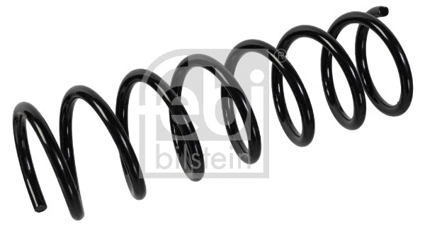 Suspension Spring (176270)