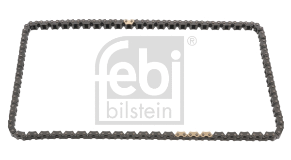 Timing Chain (49572)