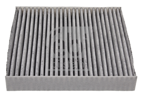 Filter, cabin air (48524)