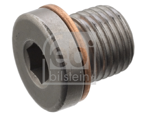 Screw Plug, axle drive (101020)