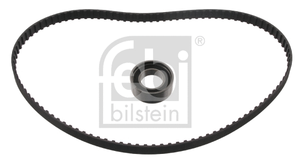 Timing Belt Kit (11071)