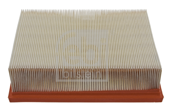Air Filter (30358)