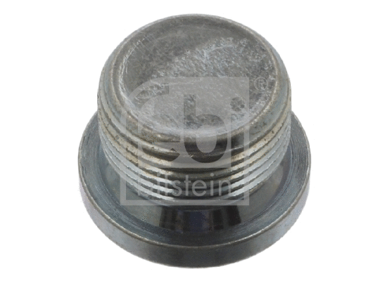 Screw Plug, oil sump (37585)
