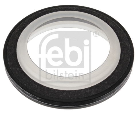 Shaft Seal, crankshaft (11481)
