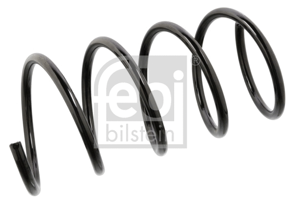 Suspension Spring (104707)