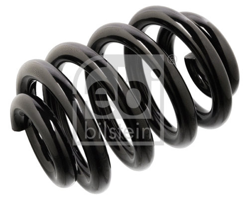 Suspension Spring (104743)