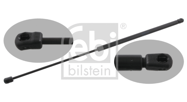 Gas Spring, bonnet (31636)