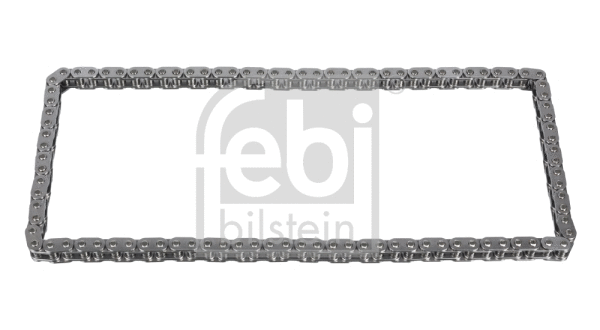 Timing Chain (48571)