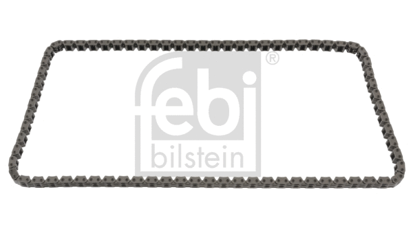 Timing Chain (48577)