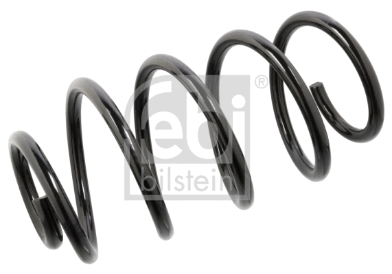Suspension Spring (104746)