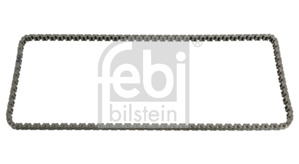 Timing Chain (100071)