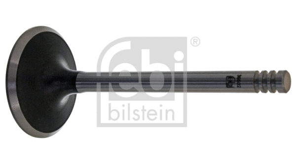 Intake Valve (36502)