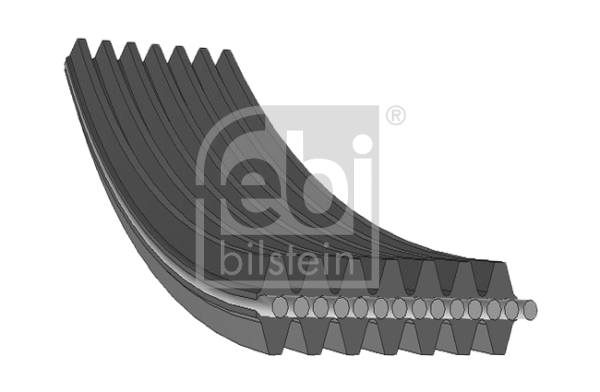 V-Ribbed Belt (34463)