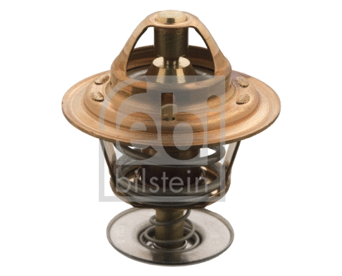 Thermostat, coolant (15804)