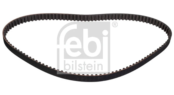 Timing Belt (179917)