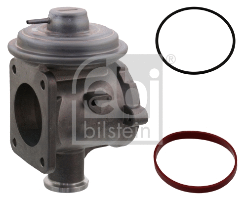 EGR Valve (48457)