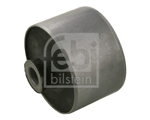 Bushing, axle beam (22854)