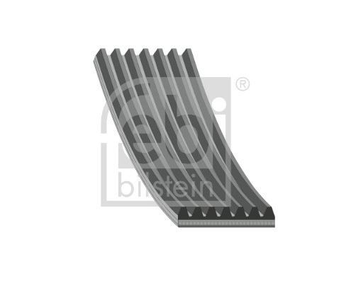 V-Ribbed Belt (184864)