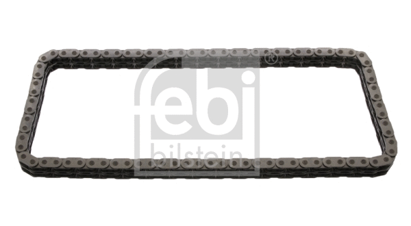 Timing Chain (40810)