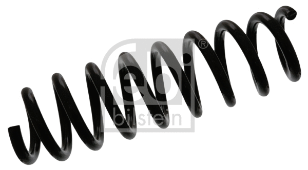 Suspension Spring (46920)