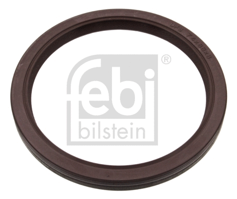 Shaft Seal, crankshaft (14205)