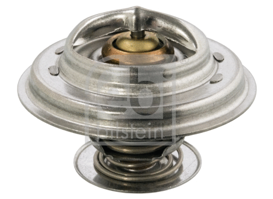 Thermostat, coolant (12254)