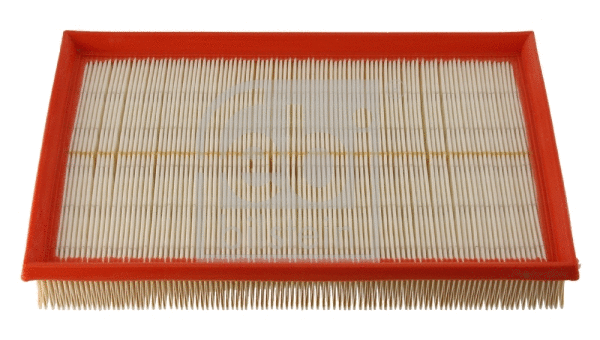 Air Filter (30365)