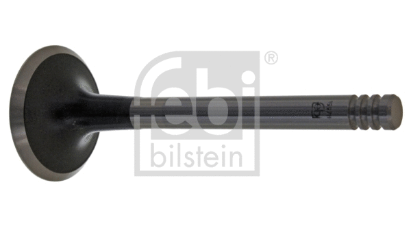 Intake Valve (19978)