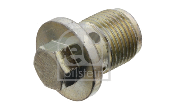 Screw Plug, oil sump (31117)