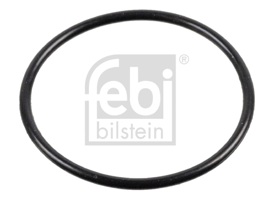Screw Plug, crankcase (38553)