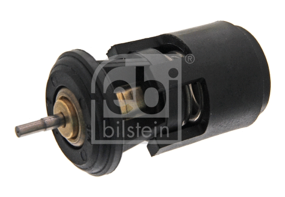 Thermostat, coolant (17922)