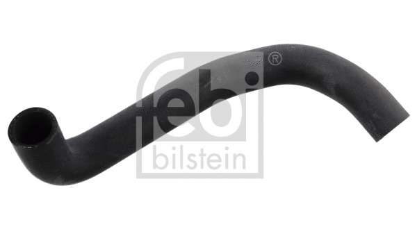 Radiator Hose (12094)
