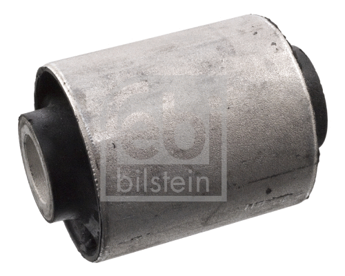Mounting, control/trailing arm (10356)