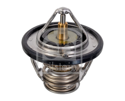 Thermostat, coolant (107704)