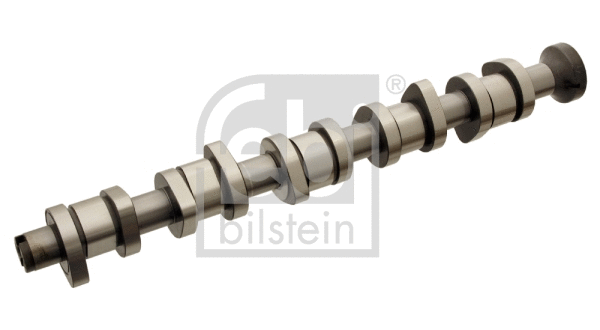 Camshaft (34492)
